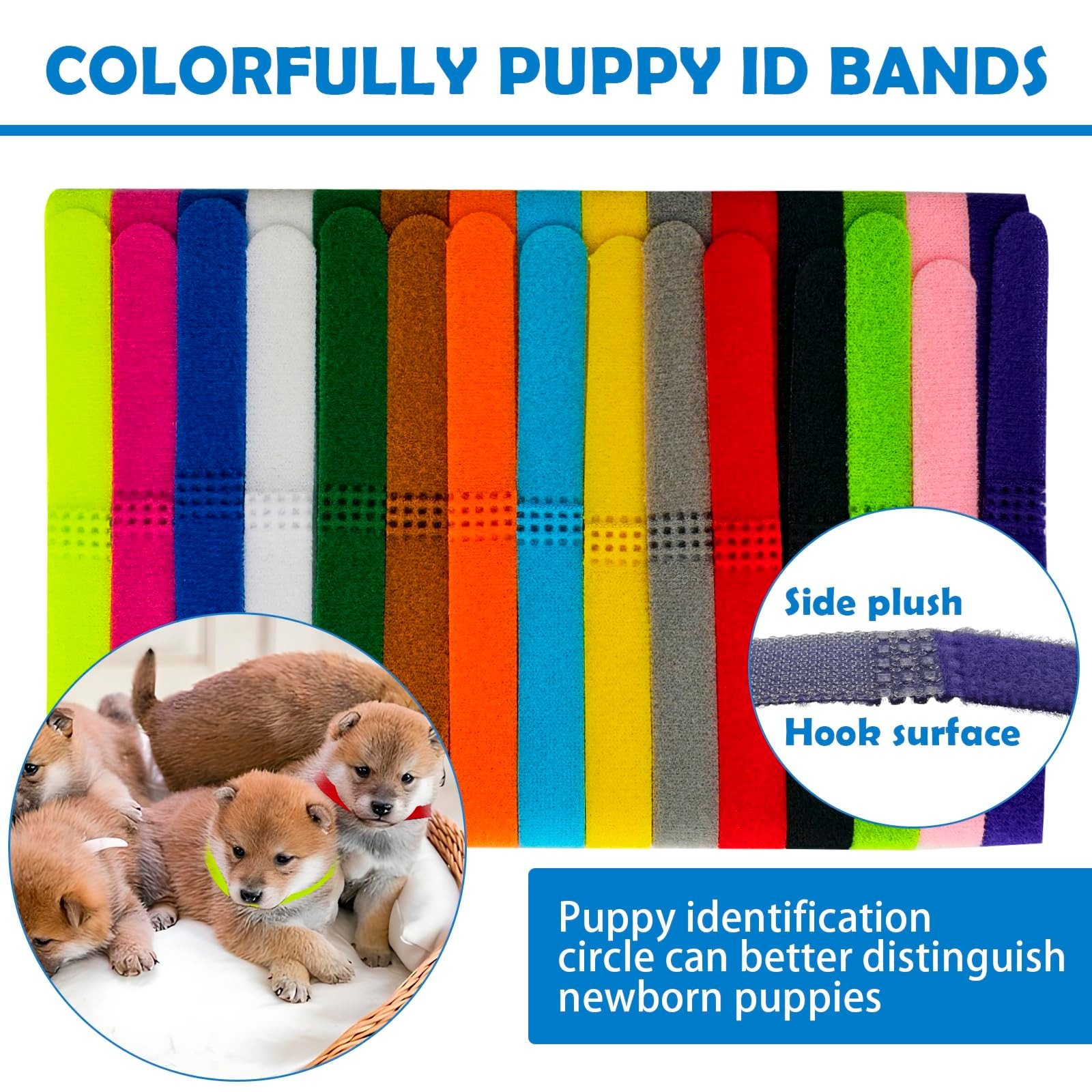 Whelping Kit for Puppies & Kittens – 77-Piece Birthing Essentials & Feeding Supp