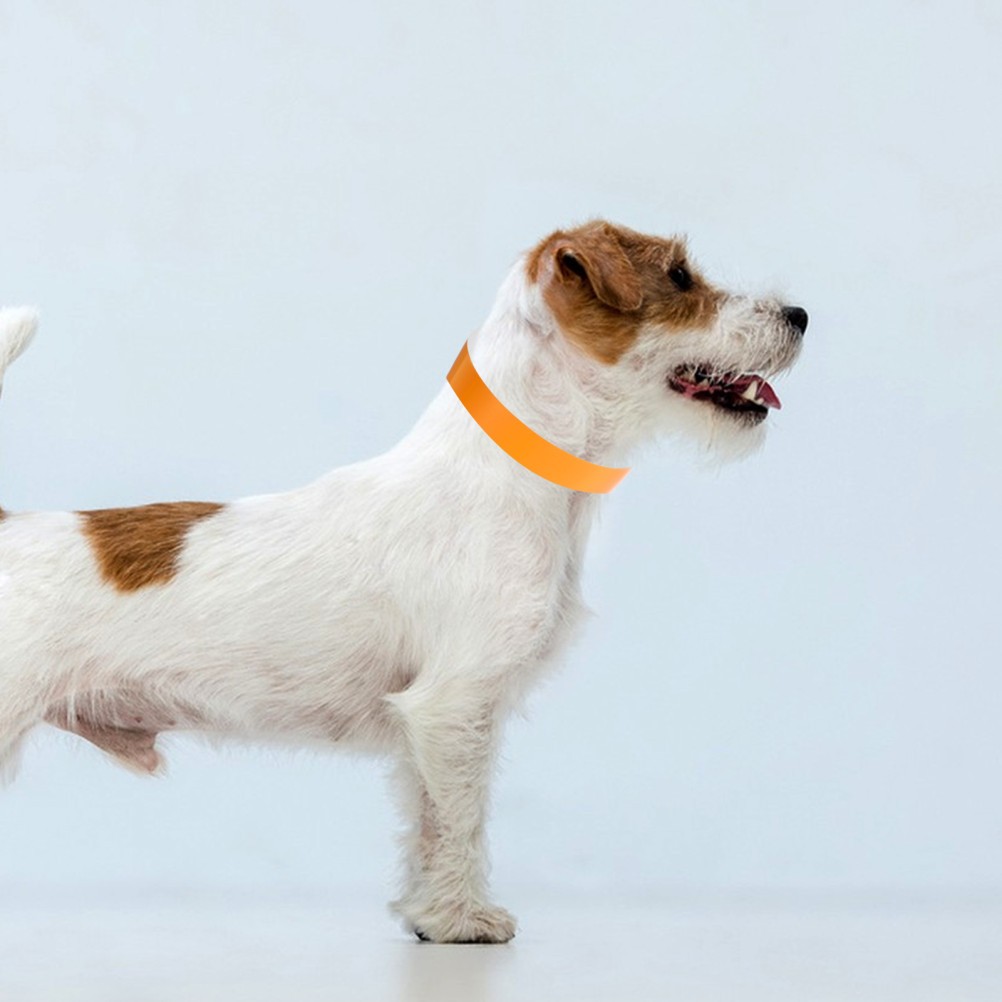 100 PCS Adjustable Puppy Collar Litter Collars for Puppies Dog with Tags