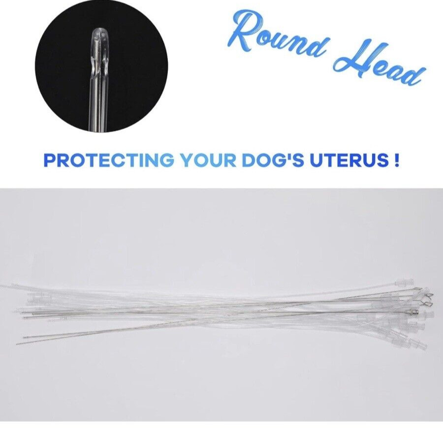 Visual Artificial Dog Insemination Gun Kit 5MP Camera +20x Insemination Tubes US