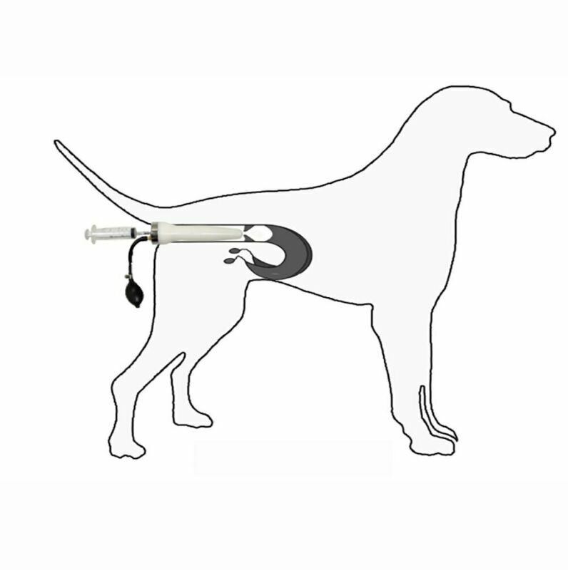 Large Dog Artificial Imitation Natural Mating Insemination Syringe Infusion Tool