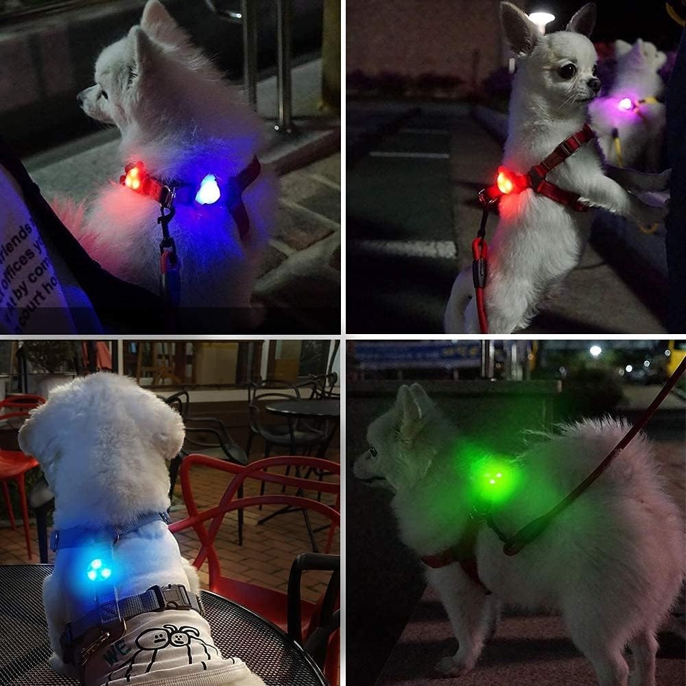 LaRoo Dog Lights for Night Walking, LED Collar 1th Gen, Green-A