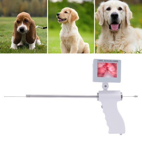 3.5 Inch Insemination Artificial Camera Screen Visual Dog Gun 360° Rotation 5MP