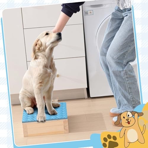 Dog Training Platform Non-Skid Surface Place 11.81 x 11.81 x 3.94 Inches