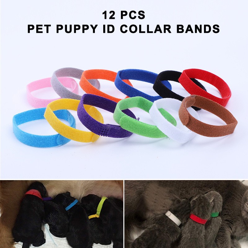 12 Colours Whelping ID Bands Pet Puppy Kitten Identification Collar Tags