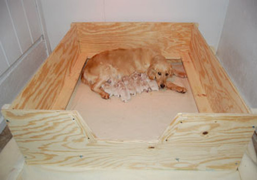 Whelping Box HEAVY DUTY w/FLOOR,XL,Xlarge 5’x4′ w/RAILS+LINER FREE SHIPPING!!!