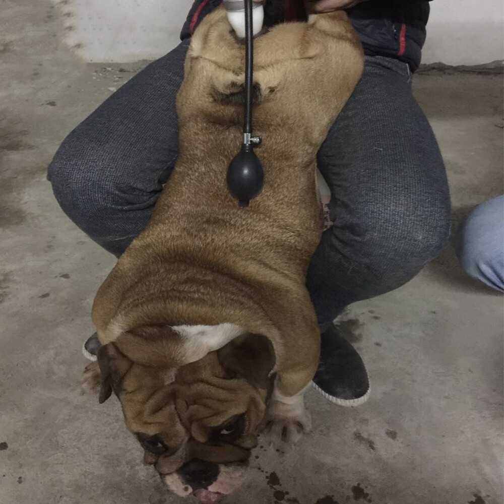 Large Dog Artificial Imitation Natural Mating Insemination Syringe Infusion Tool