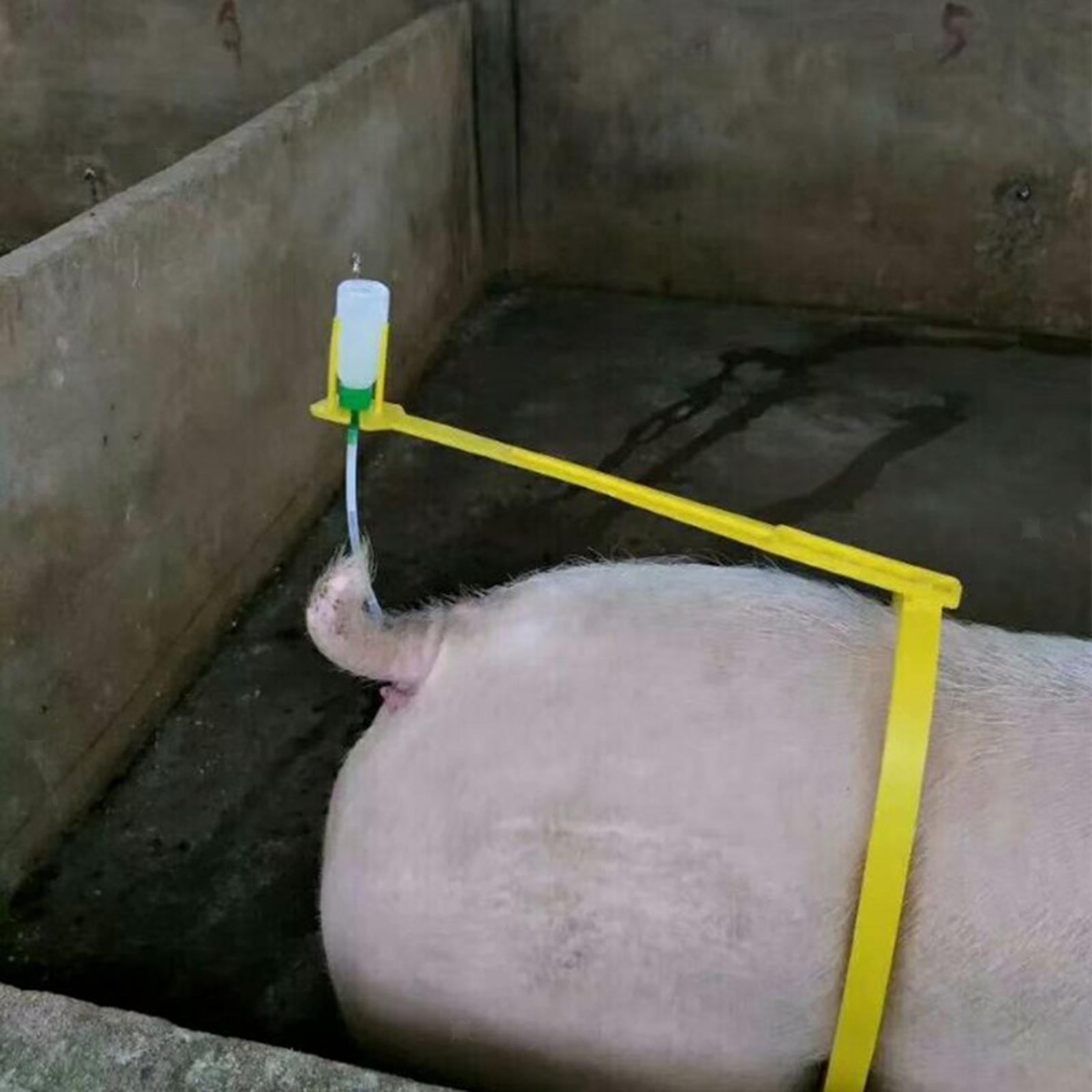 Pig Artificial Insemination Back Clamp Insemination Bottle Holder Tool