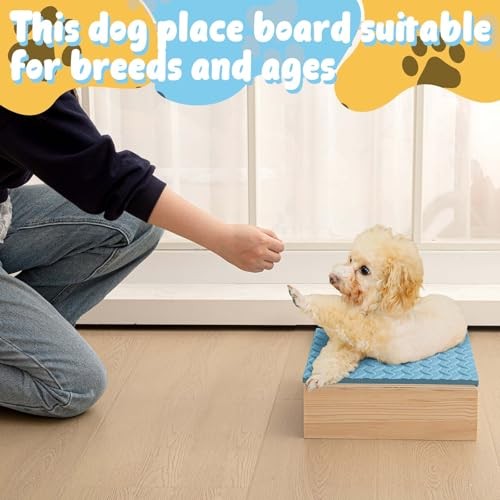Dog Training Platform Non-Skid Surface Place 11.81 x 11.81 x 3.94 Inches