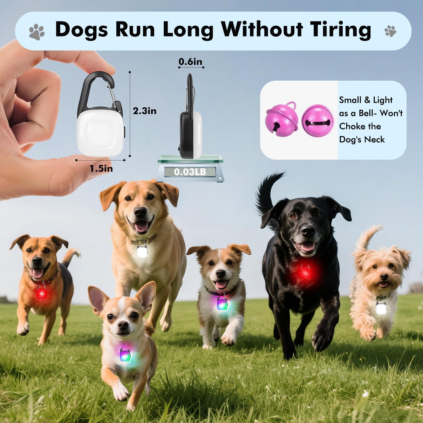 Dog Lights for Night Walking,2 Pack LED Rechargeable Safety White Red RGB
