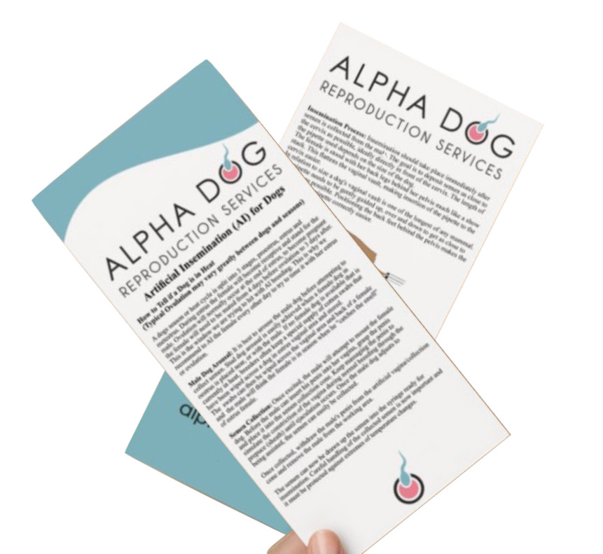Flex Tip Canine Artificial Insemination AI Kit Alpha Dog Breeder Rods All Sizes