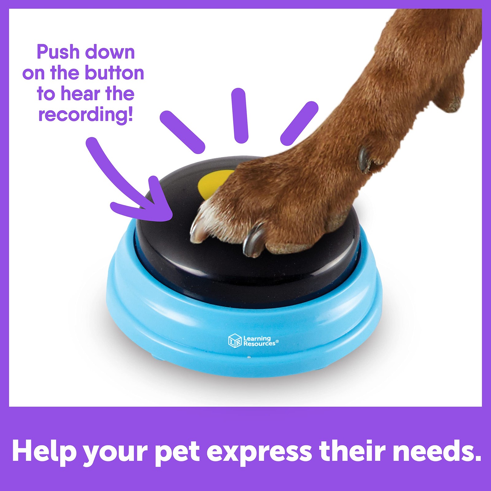 Hunger For Words Talking Pet Essential – 6 6 Count (Pack of 1), Multi