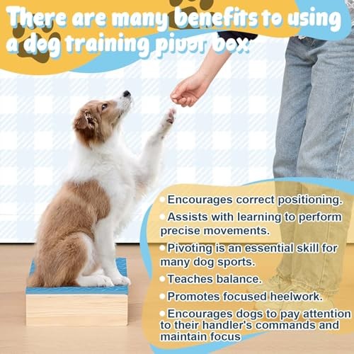 Dog Training Platform Non-Skid Surface Place 11.81 x 11.81 x 3.94 Inches
