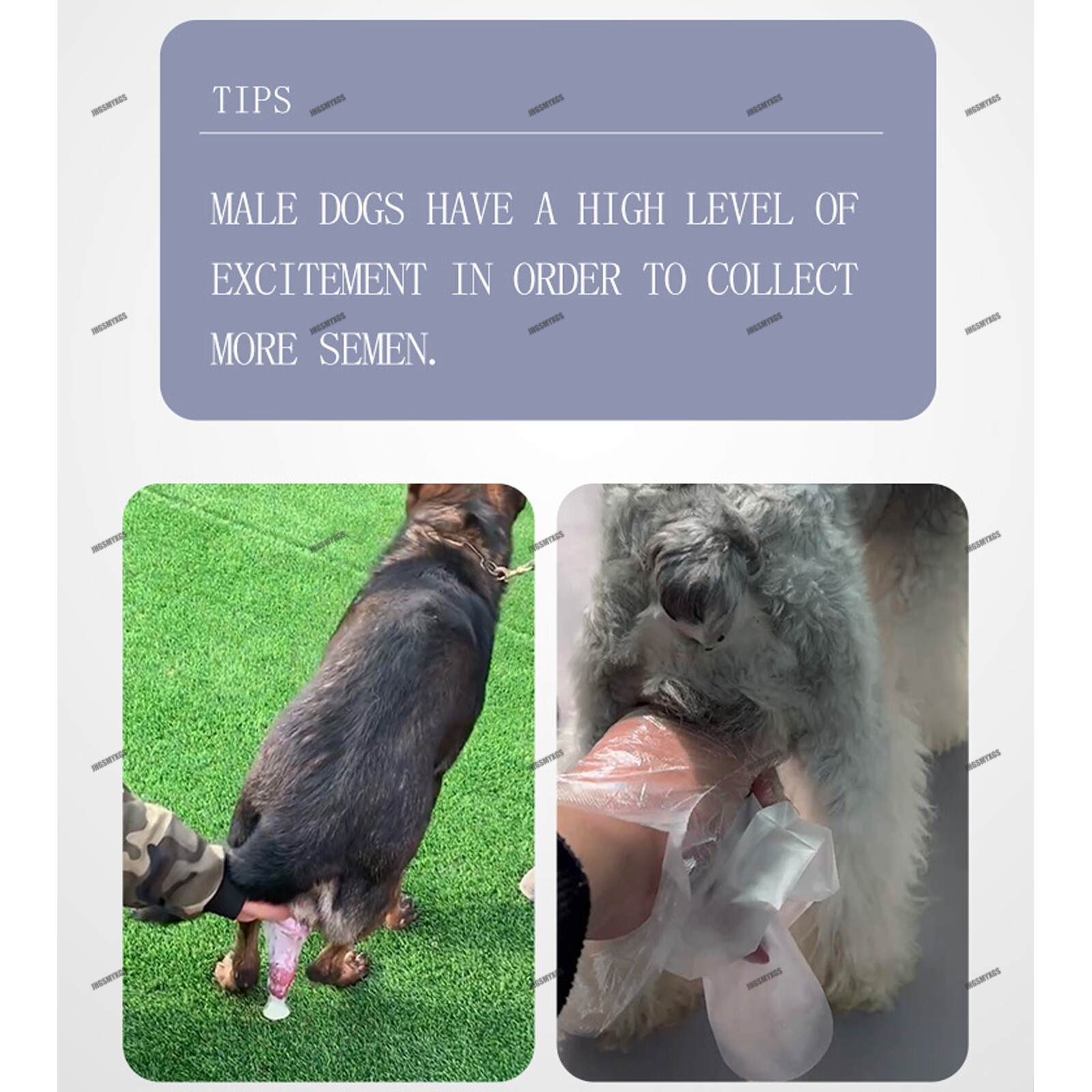 Artificial Insemination Dog Breeding Kit Canine Breeding Kit Inseminat