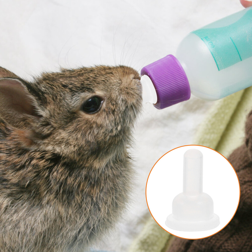 Silicone Feeding Bottle: 40Pcs for Small Kittens and Puppies