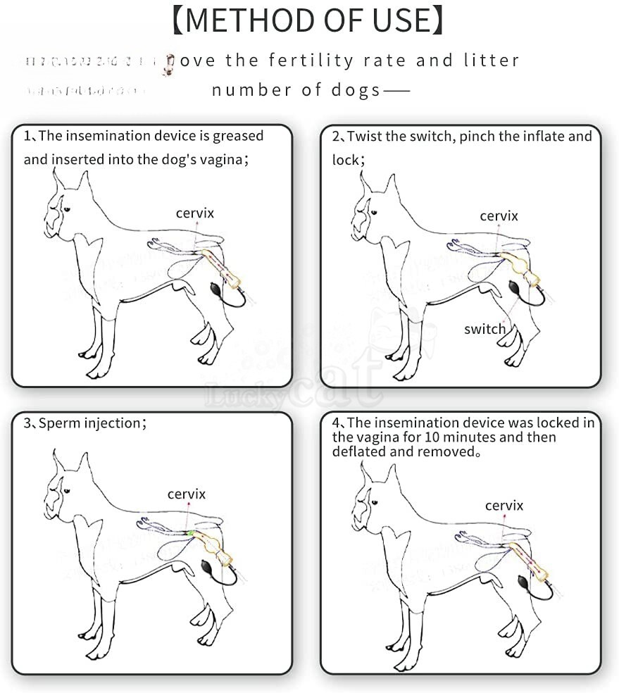Dog Artificial Insemination Kit Professional Imitation Nature Mating Veterinary