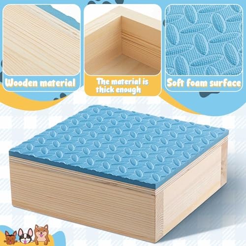 Dog Training Platform Non-Skid Surface Place 11.81 x 11.81 x 3.94 Inches