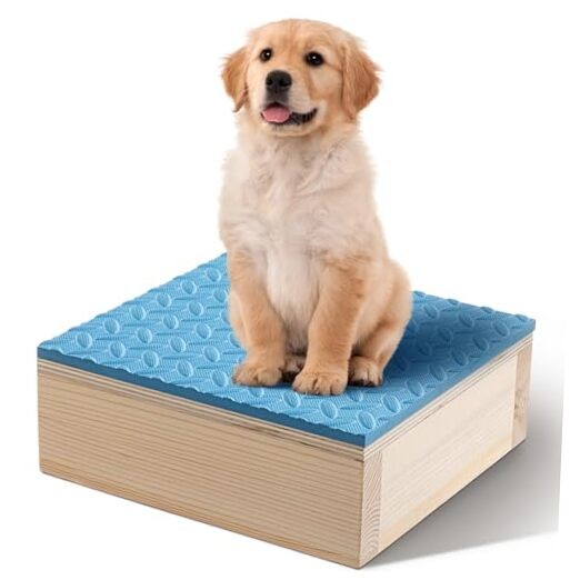 Dog Training Platform Non-Skid Surface Place 11.81 x 11.81 x 3.94 Inches