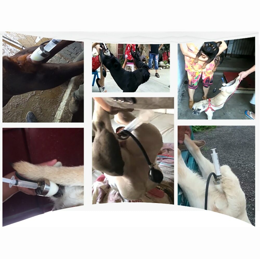 Large Dog Artificial Imitation Natural Mating Insemination Syringe Infusion Tool