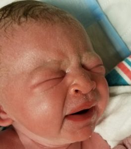 Baby Victoria 11-20-2018