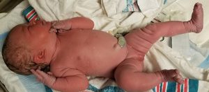 Baby Victoria 11-20-2018